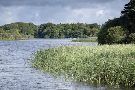 利安 克里 基拉尼 爱尔兰 湖水 自然 拉夫 风景 戒指