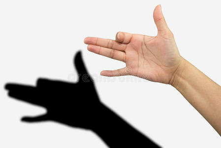 手影子狗影子的手照片