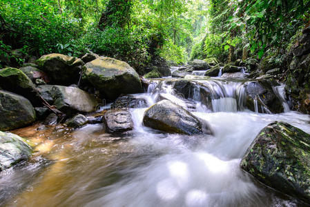 徒步旅行 植物 森林 美丽的 岩石 春天 深的 自然 流动