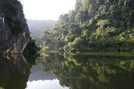 怡保 池塘 季节 自然 吸引力 美丽的 颜色 风景 建筑学