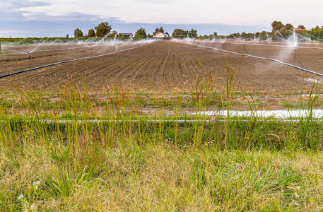 自然 播种 机器 灌溉 地面 草坪 行业 农场 喷雾 喷雾器