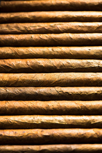 古巴雪茄背景