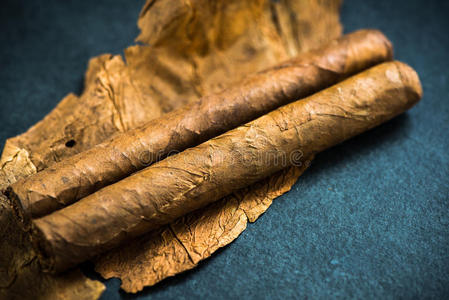 古巴雪茄在烟叶上照片