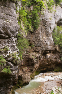 黑穗病 高加索 岩石 峡谷 森林 悬崖 克拉斯诺达尔 风景