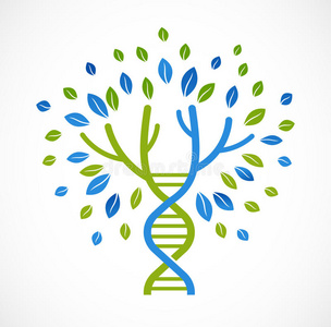 DNA，有绿叶的遗传图标树