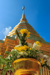 宗教 亚洲 遗产 地标 佛陀 古老的 和平 建筑学 佛教