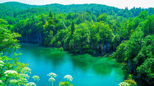 美女 植物 环境 树叶 公园 湖泊 岩石 欧洲 风景 美丽的