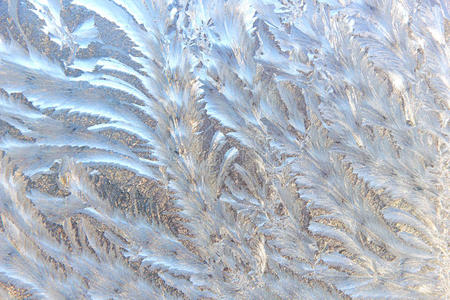 窗玻璃上的霜纹照片