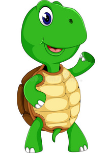 可爱的小乌龟图片