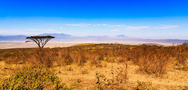 坦桑尼亚的ngorongoro火山口