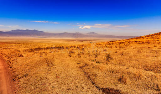 坦桑尼亚的ngorongoro火山口