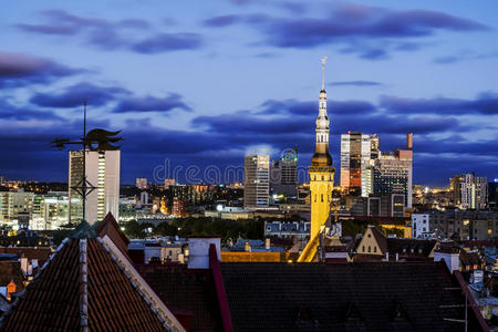 美丽的 大教堂 城市景观 港口 高的 爱沙尼亚 全景 风景