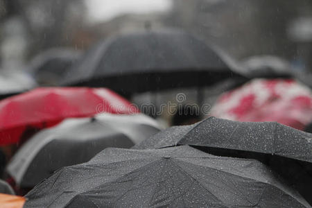 街道 秋天 季节 天气 重的 女人 生活 雨伞 手提包 基辅