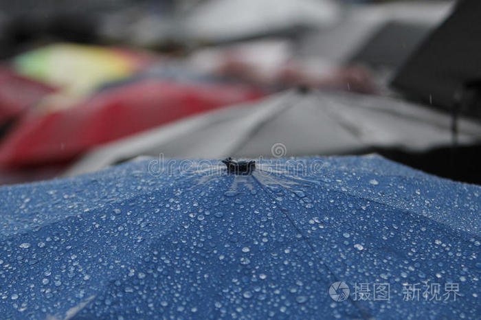 雨伞 天气 手提包 城市 基辅 保护 行人 外套 坏的 生活