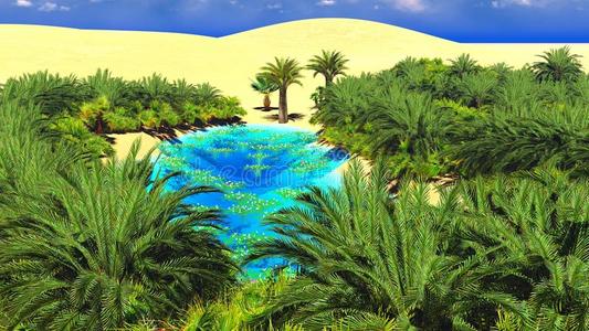 撒哈拉沙漠上的非洲绿洲照片