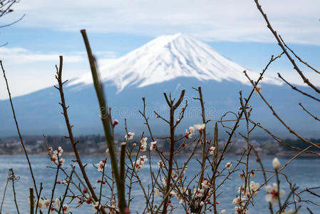 富士兰斯克风景与一个Kawaguchiko湖