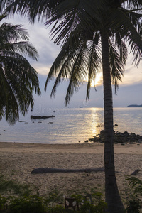 目的地 海滩 美女 海景 风景 海岸 美丽的 反射 放松