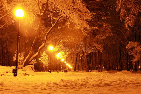 林荫大道 大街 乌克兰 傍晚 熔化 特大城市 寒冷的 伟大的