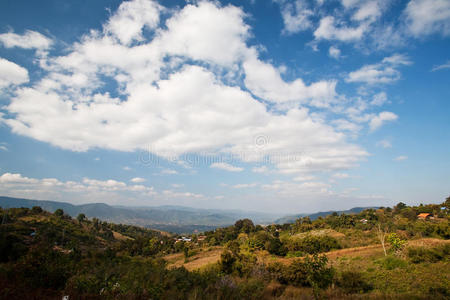 全景图 森林 高的 小山 天空 日出 美女 环境 旅行 美丽的