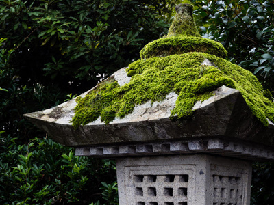 佛教徒 旅行 森林 花园 灯笼 日本人 要素 日本 寺庙