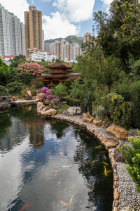 目的地 瓷器 亚洲 花园 丽安 建筑 城市景观 日光 亭阁