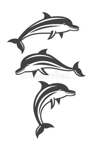 海洋生物 海豚 剪贴画 自然 形象 艺术 海洋 美丽的 收集