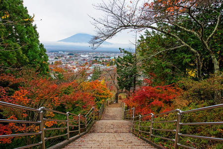 富士山 薄雾 地标 圣地 秋天 落下 花儿 日本人 天空