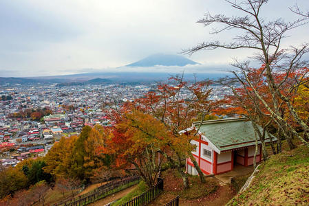 公吨 花儿 风景 川端康成 反射 粉红色 投影 宝塔 日本人