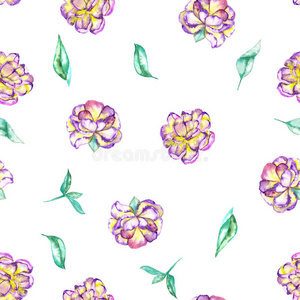 一种无缝的花卉图案，水彩，紫色和黄色外来花牡丹和绿叶