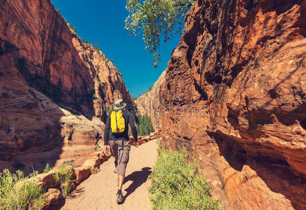 岩石 美国人 美国 峡谷 冒险 目的地 公园 自然 美丽的