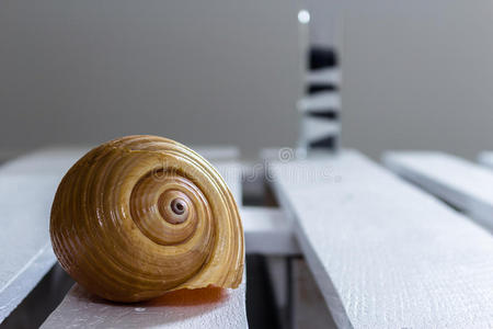 蜗牛 思想 最小值 活的 上漆 木材 家具 书桌 托盘 咖啡