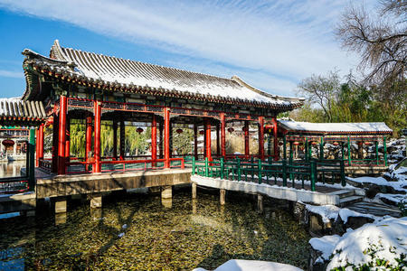 建设 建筑学 园艺 花园 中国人 文化 树叶 伟大的 建筑