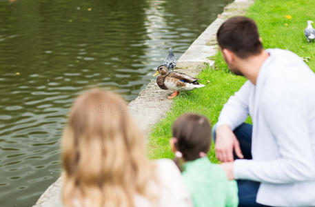一家人在公园的夏天池塘里看鸭子