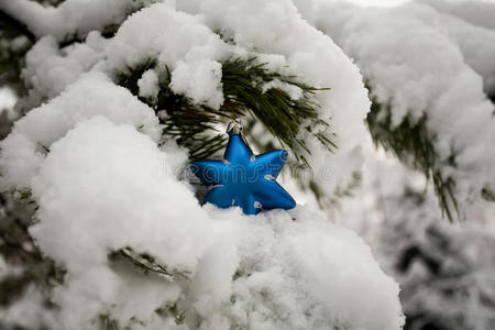 圣诞树上的蓝色星星覆盖着雪