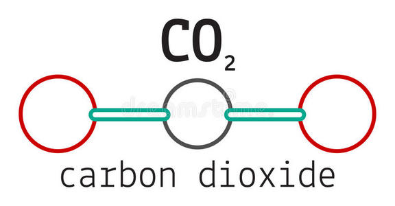 二氧化碳分子
