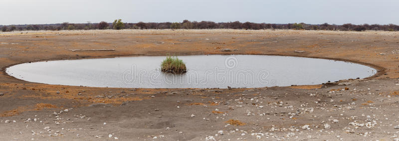 纳米比亚野生动物保护区的空水洞