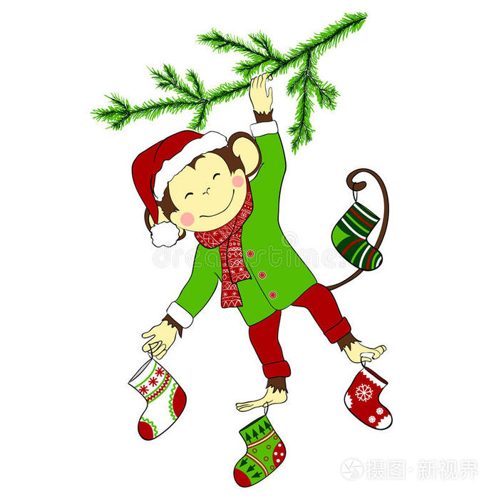 圣诞节。 猴子挂在圣诞树上，抱着四个CHR