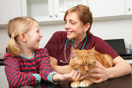 带宠物猫去兽医检查的女孩