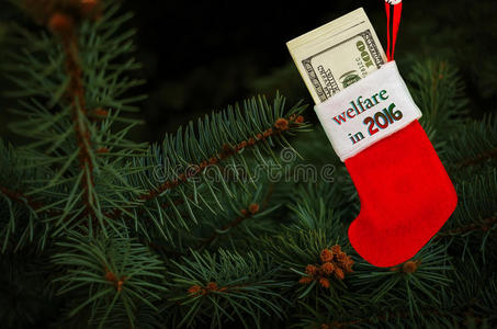 假期 长袜 松木 圣诞节 颜色 点燃 美元 庆祝活动 分支