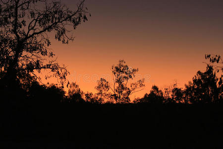 澳大利亚灌木丛中明亮的日落