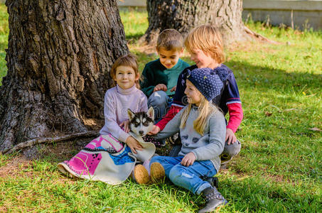 一群四个孩子在公园里和哈士奇小狗玩