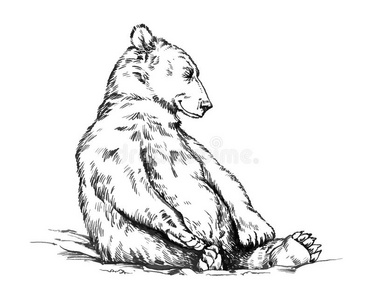 黑白雕刻分离矢量熊黑色和白色刻孤立的矢量熊野生成年棕熊在早春森林