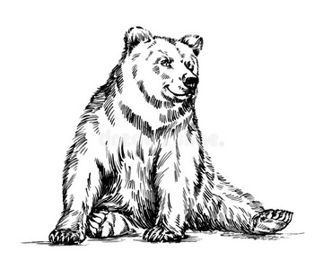 黑白熊标志图片-黑白熊标志素材-黑白熊标志插画-摄图新视界