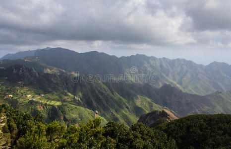 森林 风景 全景图 金丝雀 旅行 高的 徒步旅行 小山 山谷