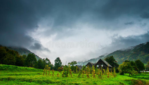 高山景观