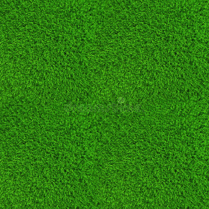 绿色草坪草背景纹理高照片