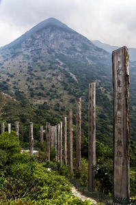 商行 中国人 自然 追踪 小山 风景 石碑 大屿山 瓷器