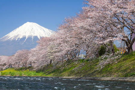 富士山