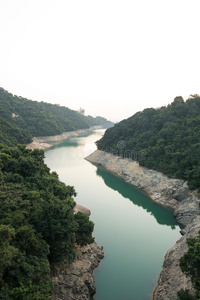 森林中的河流