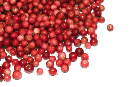 浆果 自然 颜色 杨梅 山莓 特写镜头 食物 美味的 秋天